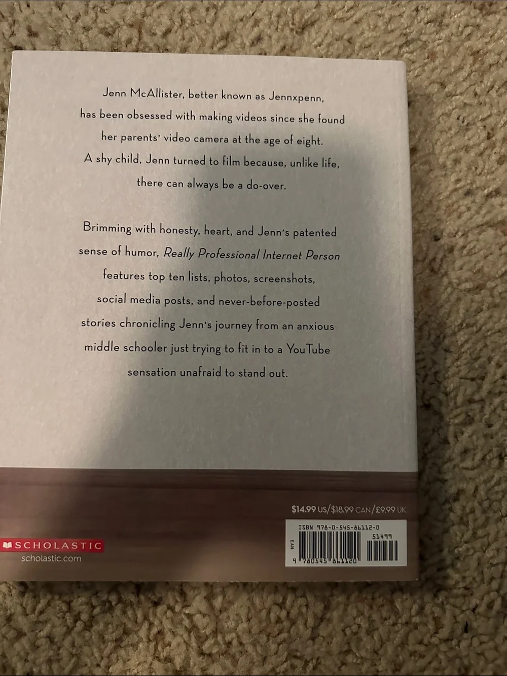 Really Professional Internet Person. Jenn McAllister book